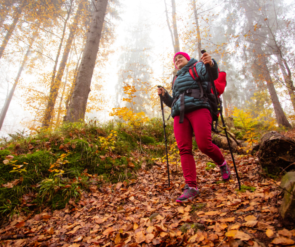 November Trailblazers: Discovering Serene Hiking Havens in Autumn