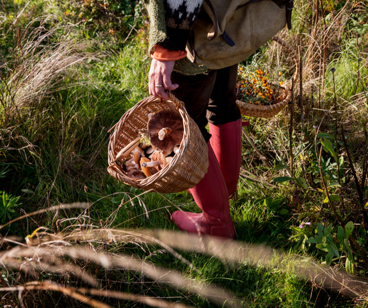Woman forages for mushroom in the forest.